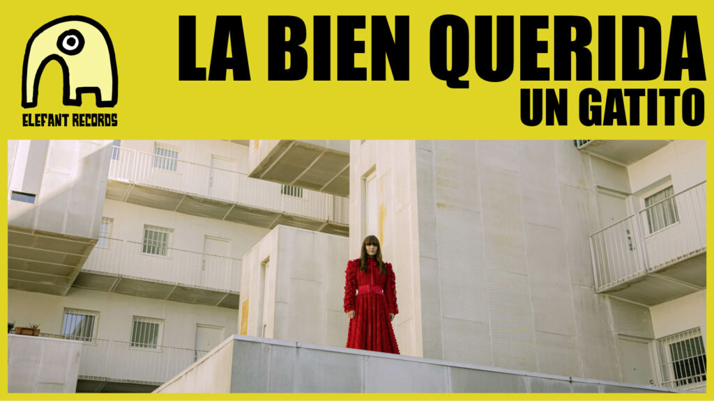 Imagen destacada de video: Un Gatito [Video-Clip]